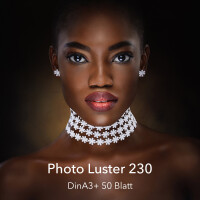 farbenwerk Photo Luster 230 DinA3+ 50 Blatt