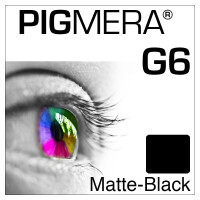 farbenwerk Pigmera G6 Flasche Matte-Black
