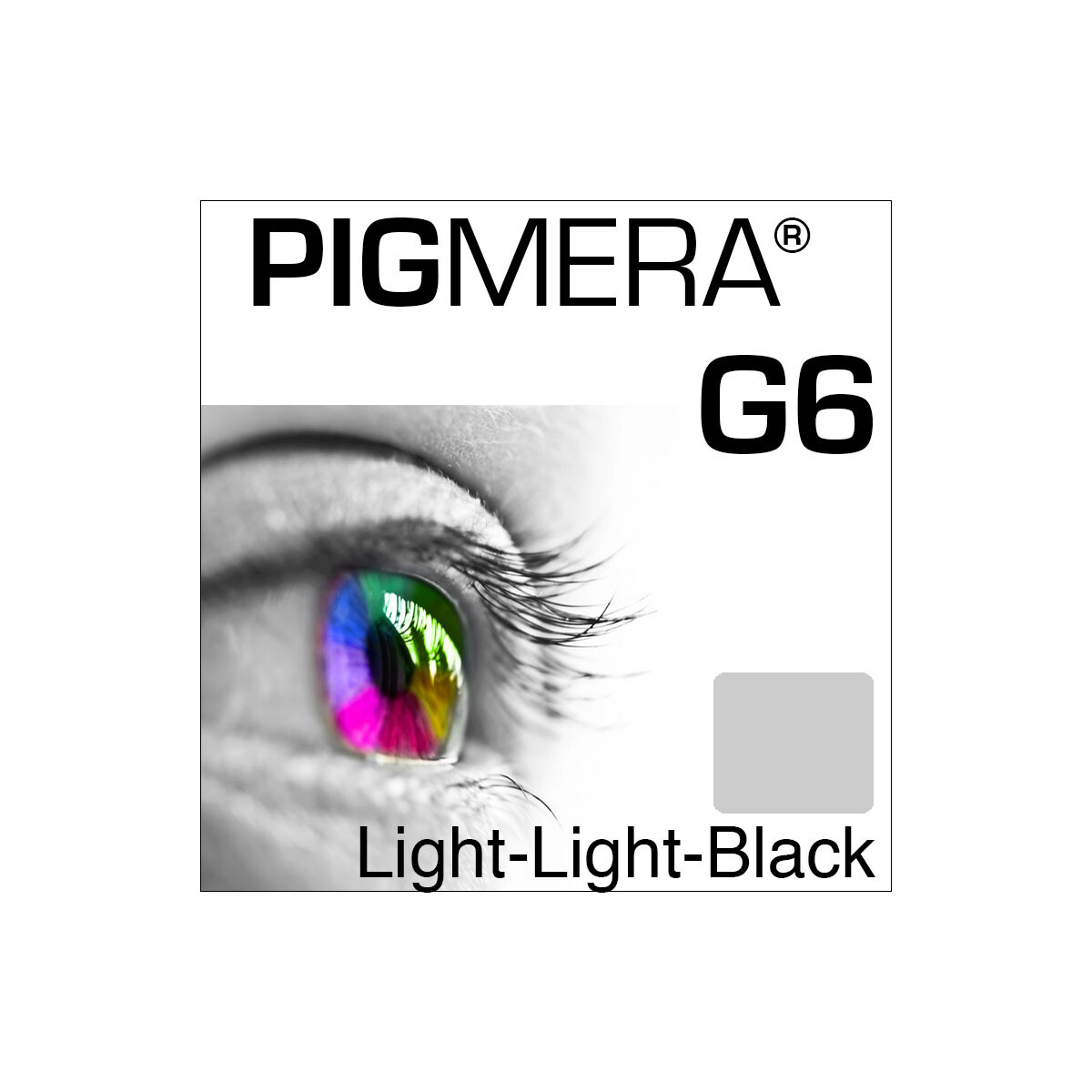 farbenwerk Pigmera G6 Bottle Light-Light-Black 500ml